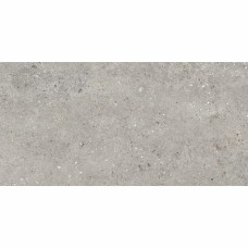 ПЛИТКА CERSANIT RIALTO GREY MATT 59,8х119,8